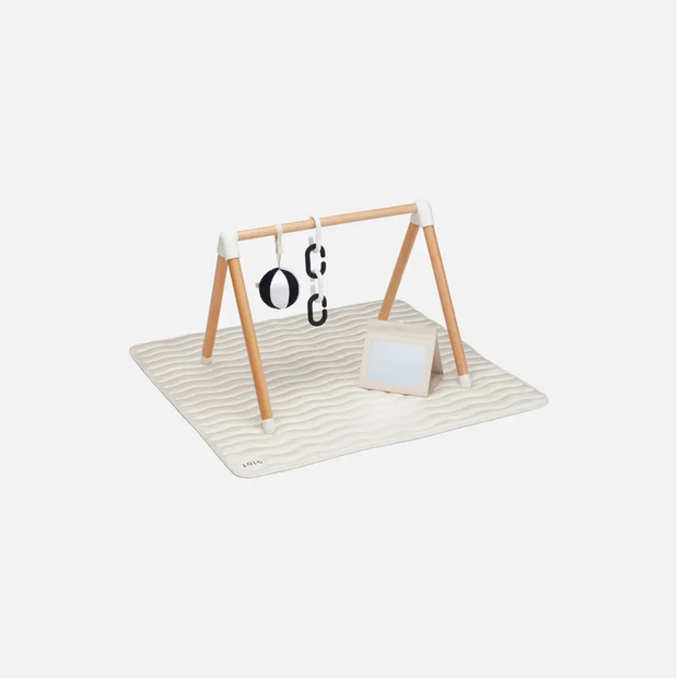 The Play Gym