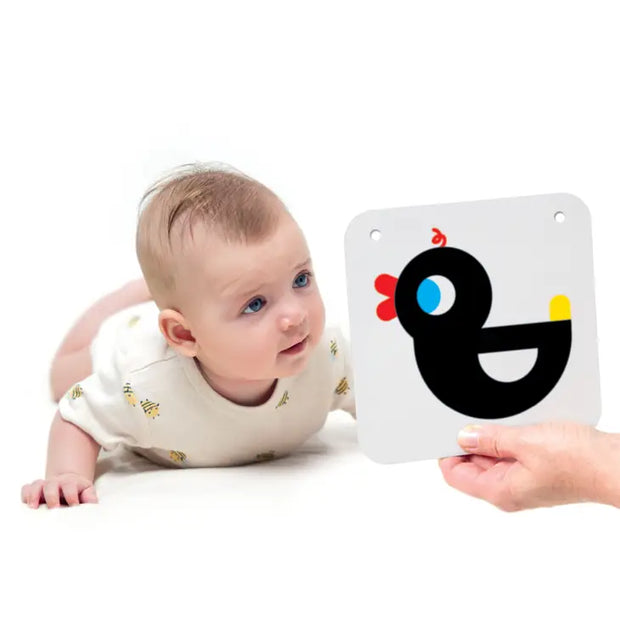 High Contrast Flash Cards on a Ring