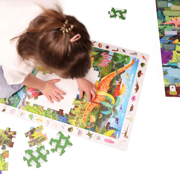 Observation Puzzle Dinosaurs