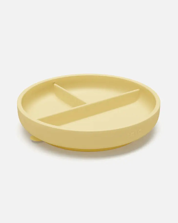 Suction Plate