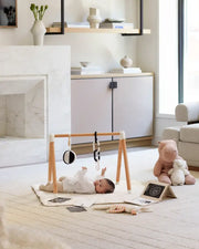 The Play Gym