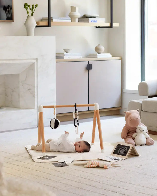 The Play Gym