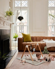 The Play Gym