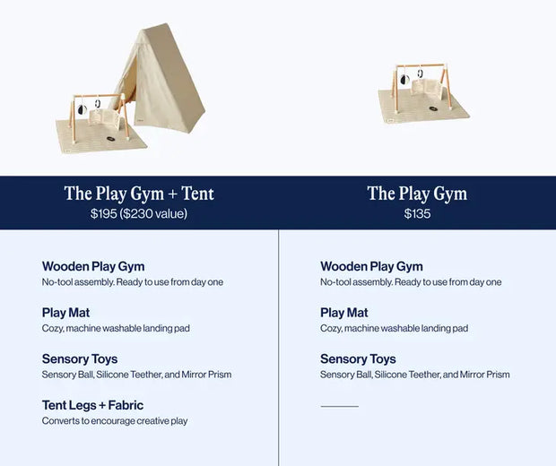The Play Gym