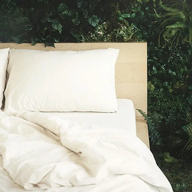 Sheet Set - Organic Cotton